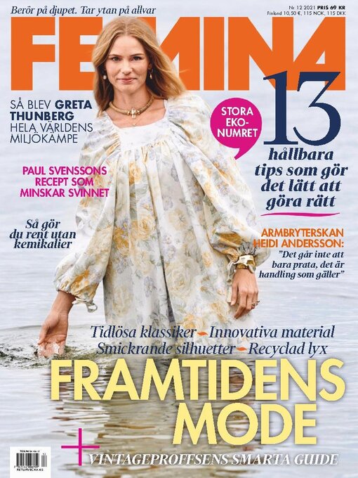 Cover image for Femina SE